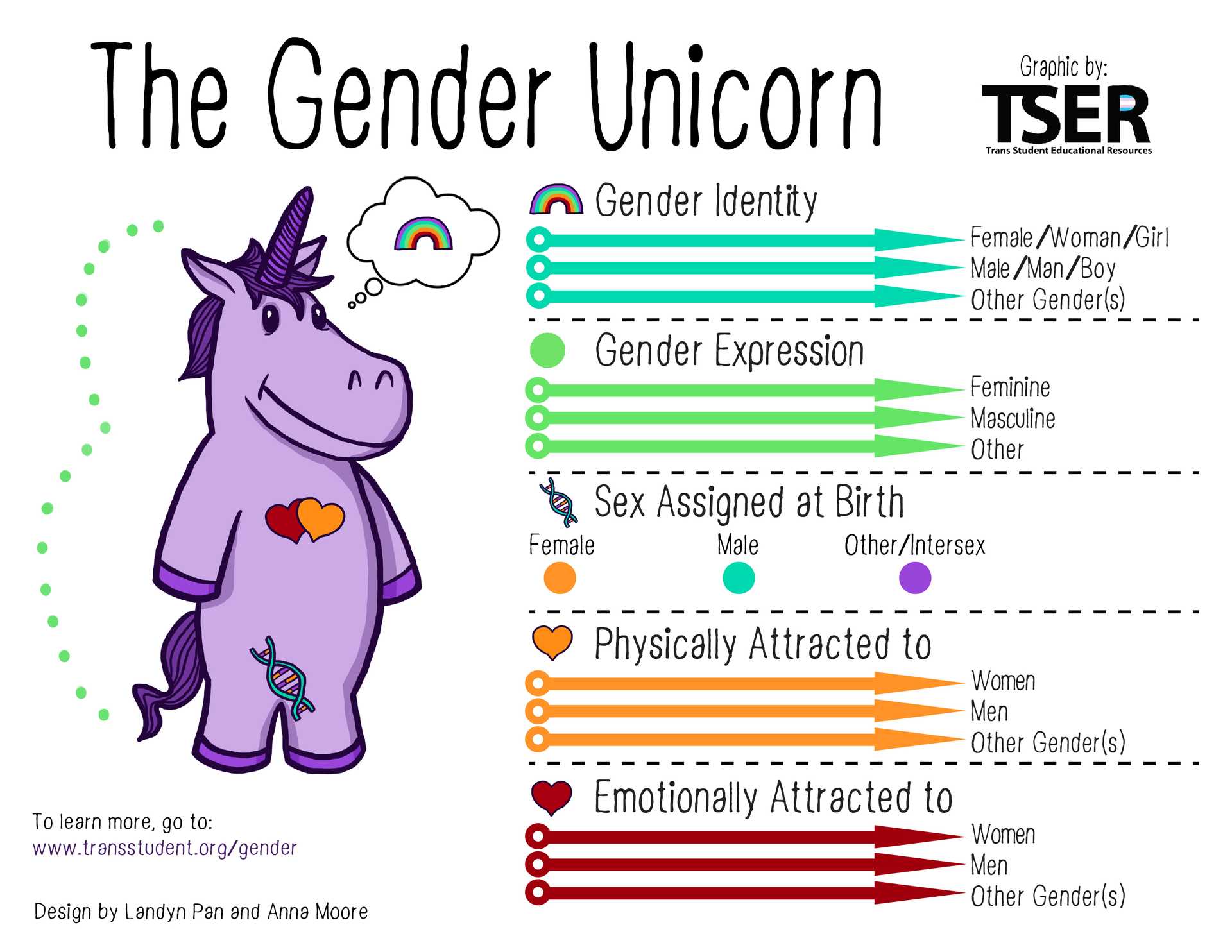 Drawing of a purple unicorn thinking about a rainbow. It has an orange and a red heart and a gen strand on ots chest. Next to it: chart that shows that Gender identity, gender expression, sex assigned at birth, physical attraction and emotional attraction can be individual for each person.